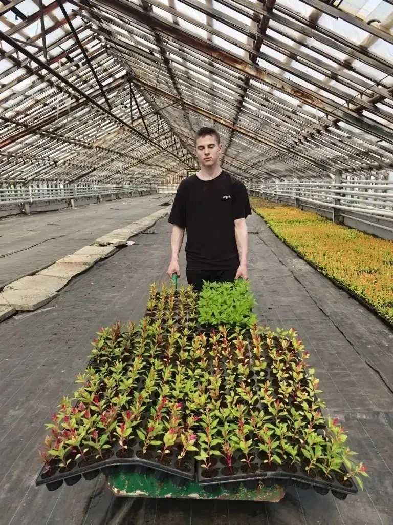 img 0